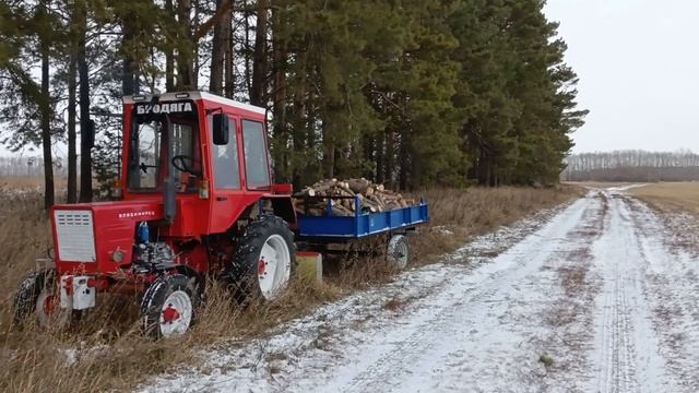 бродяга в лесу)) т 25 мал да шустрый)