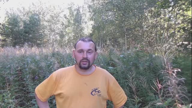 Поездка из Петербурга в Псковскую Деревню - 2020