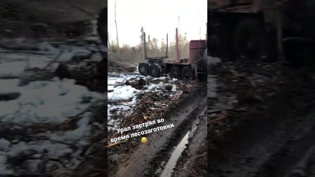 Лесовоз Урал застрял во время заготовки леса для строительства, Вологодская область.