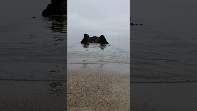 Статика и динамика Балтийского моря #shorts