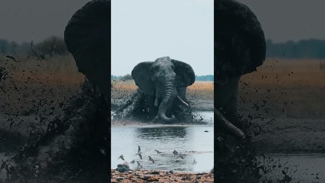 Водные процедуры