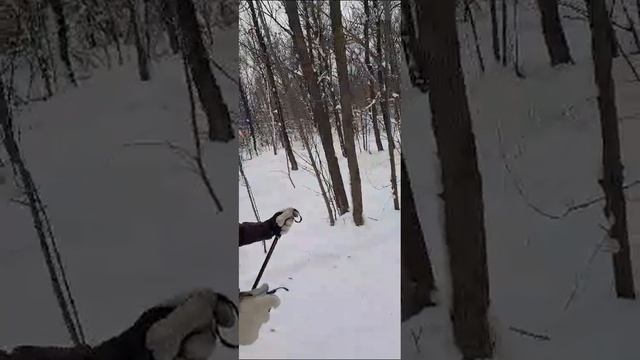 Лыжная трасса, тренер