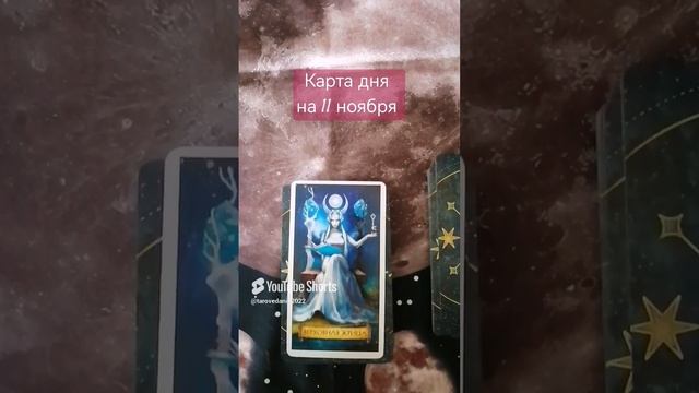 ✨ Карта дня на 11 ноября.mp4