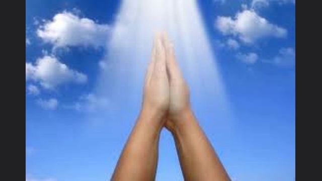 Смоковница