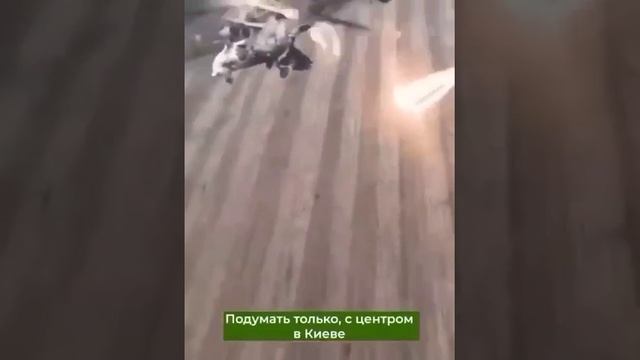 Мы станем каплей, корнем, плодом. Мы станем атомом, но будем… Боец читает стихи