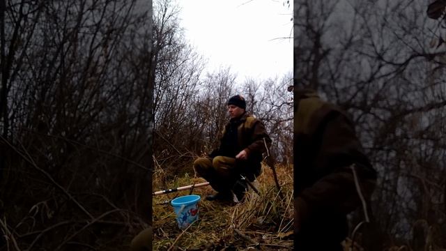 Осенний фидер