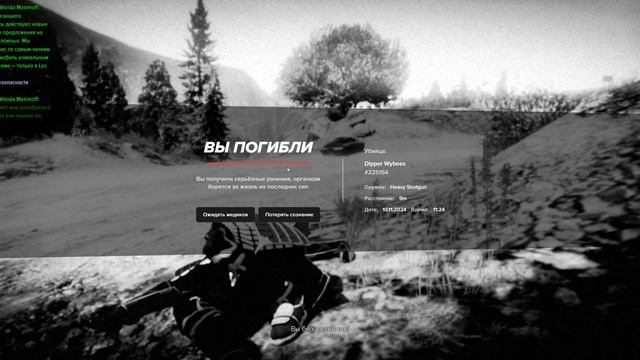 Grand Theft Auto V 2024.11.10 - 13.27.43.02.DVR