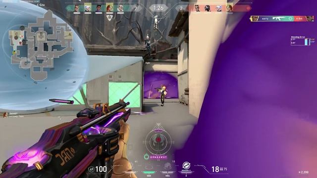 i love valorant game