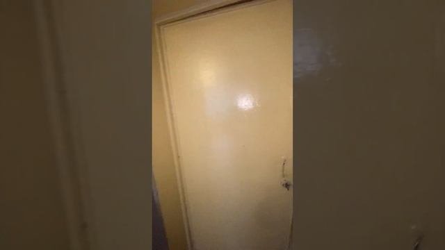 10 ноября 2024 г.