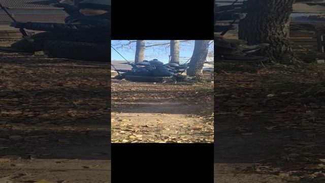 VID_20241013_142033.mp4