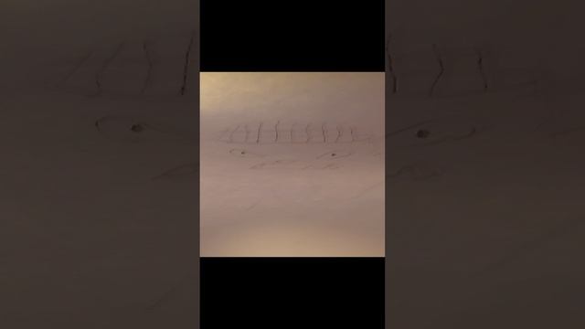 рисую гуджитсу