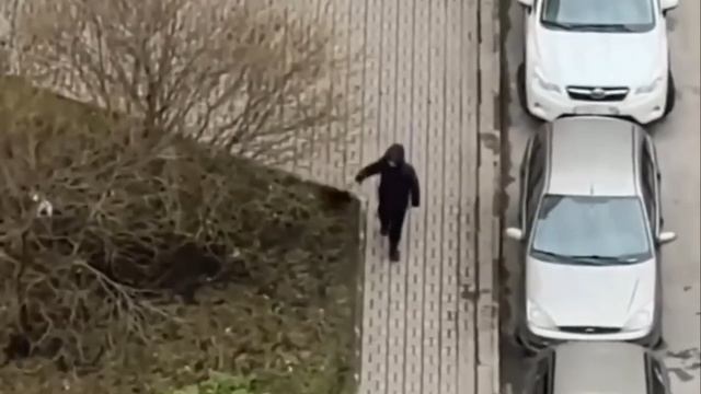 🦮 Прогулка мальчика с пёсиком на проспекте Королева вызвала негодование у местных жителей.  В домов