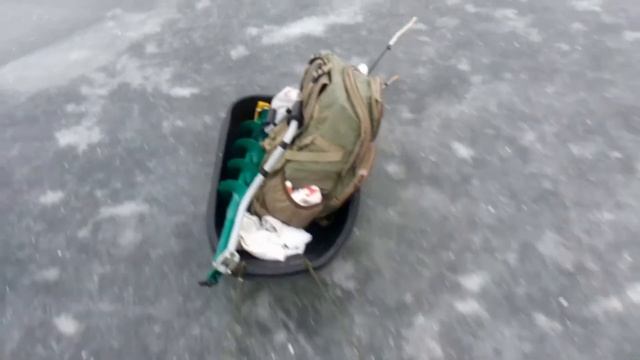 РОТАН по первому льду.