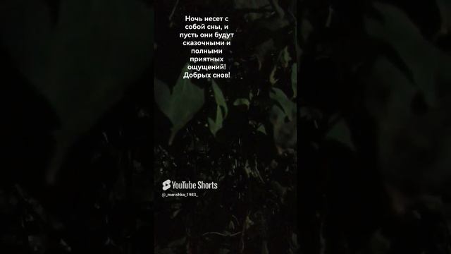 🌚#ночь🌙 #звукиприроды #спокойнаяночь 🌛#2024 #сны #люблюприроду #настроение #спокойныйсон #природа