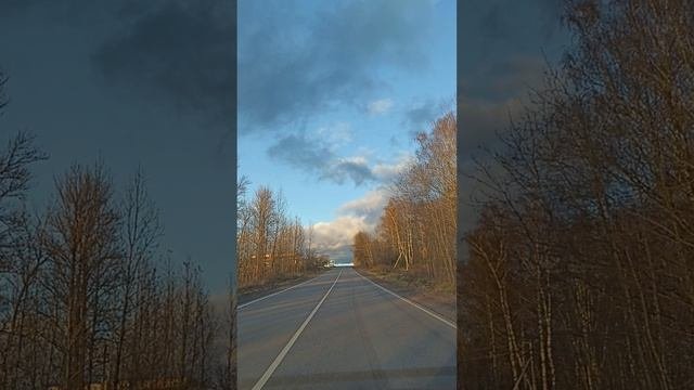 Мышление