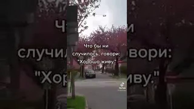 Мудрый совет