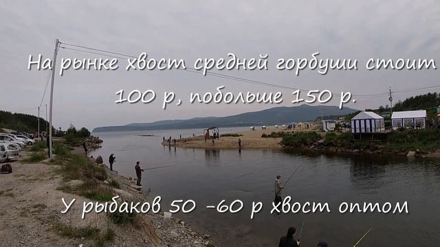 Горбуша пошла. Первые рыбаки на Гертнера на Дукче. Магадан. Рыбалка. 5 июля 2020