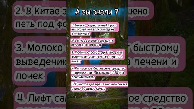А вы знали? #интересныефакты