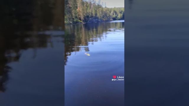1000026365.mp4