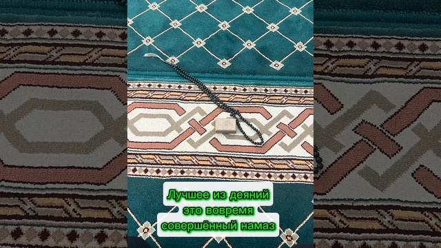 VID-20241110-WA0000.mp4