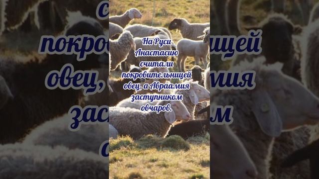 11 ноября# Аврамий и Анастасия# приметы и обычаи