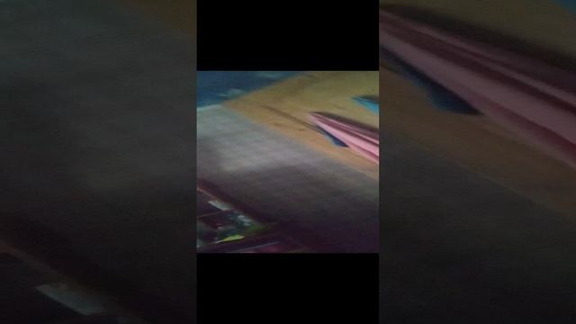 VID_20241110_121733.mp4