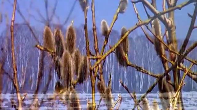 Любви божество В.Синицын
