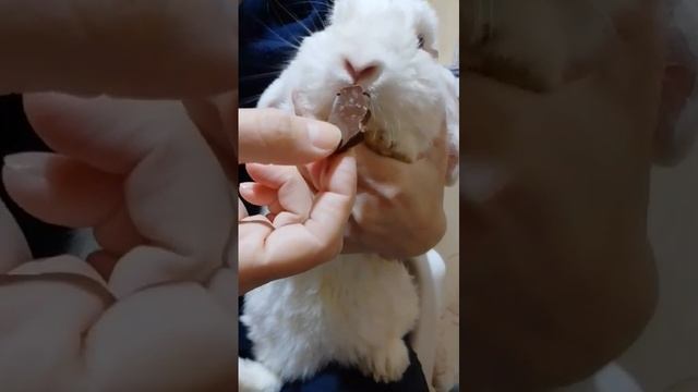 бобр -будь добр😋