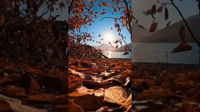 Осенью осень 🍂🍁

 #осенью  #осень