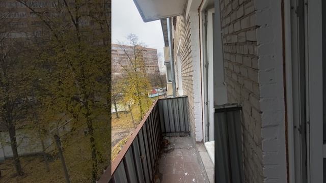 3 ноября 2023 г.