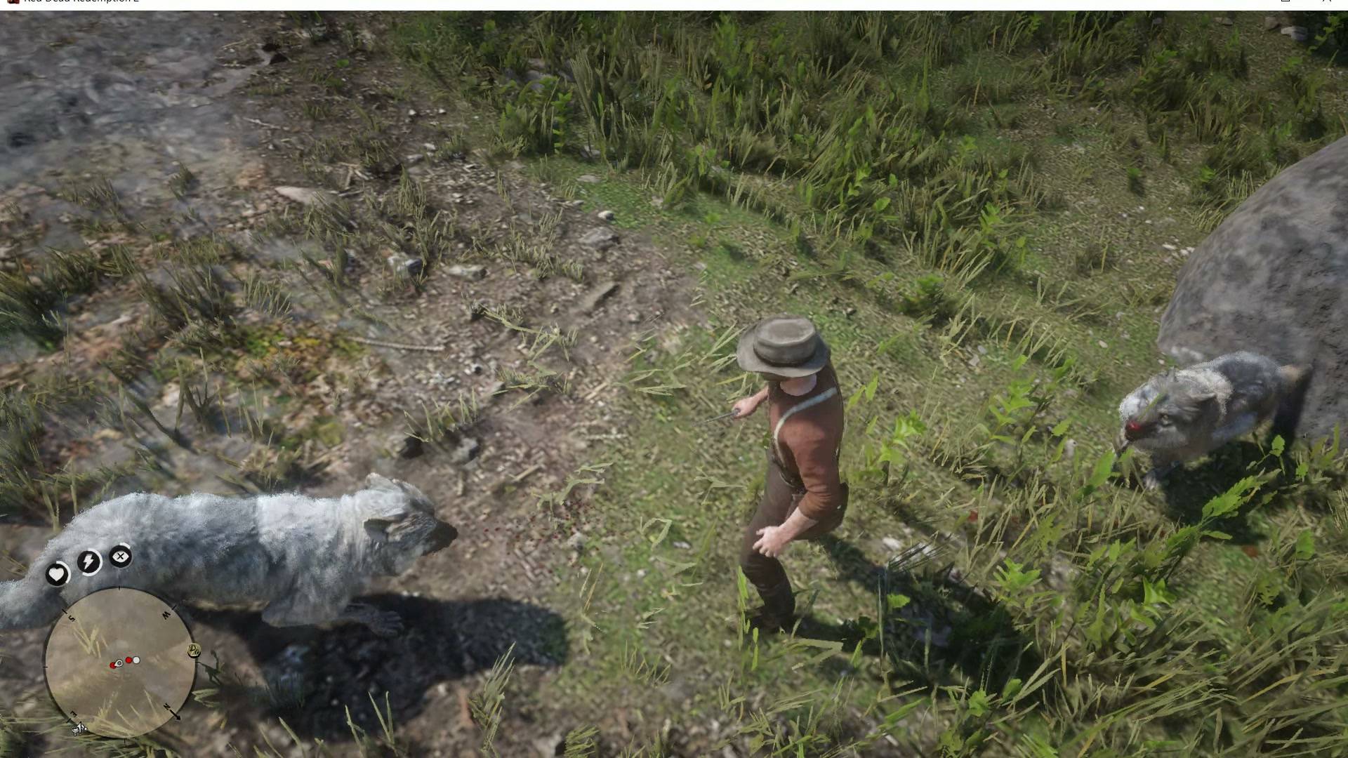 Red dead redemption 2. Сut and shaved.
