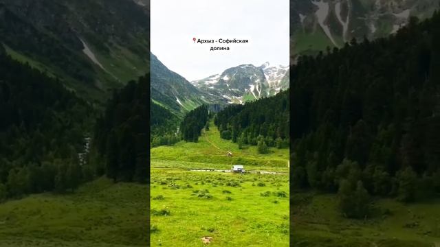 1000807780.mp4