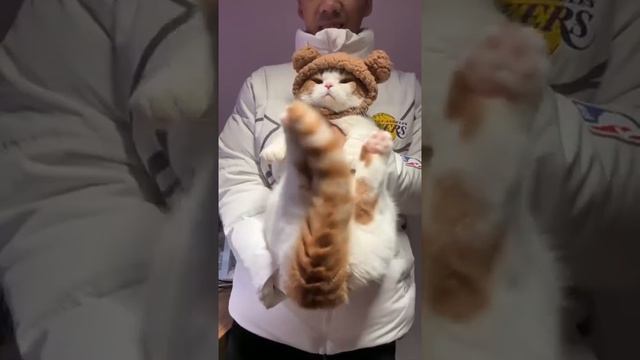 Мы в ВК https://vk.com/life_of_cats