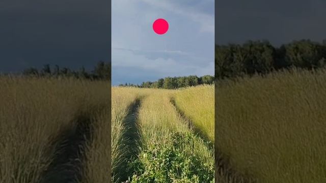 Точка бытия.