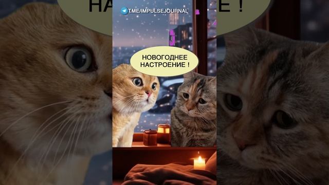 Черная пятница #мыкотики #вмем #разговор #анекдот #шутки #кот #юмор #смешное #прикольно #мемы #cat