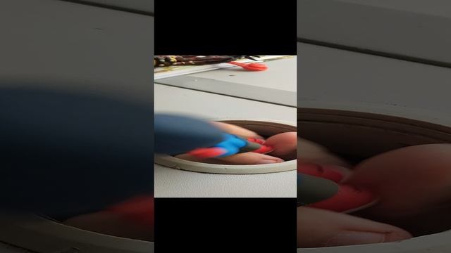 Остров сокровищ 5