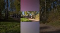 Всероссийская акция "День Бега" - Первенство ТГАСУ по легкоатлетическому кросу. Итоговый ролик.