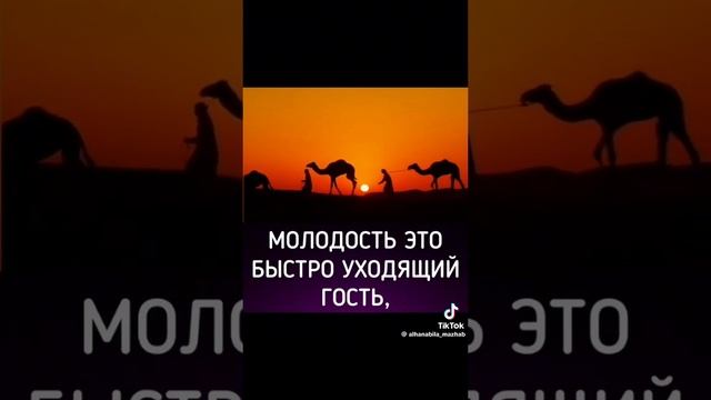 молодость это бистро уходящий возраст