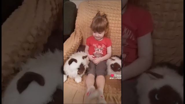 1000026394.mp4
