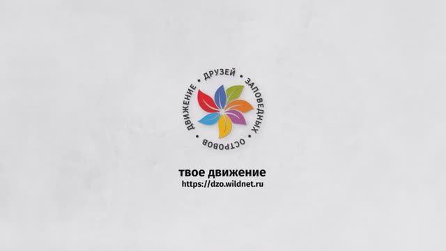 Проморолик Движения Друзей заповедных островов
