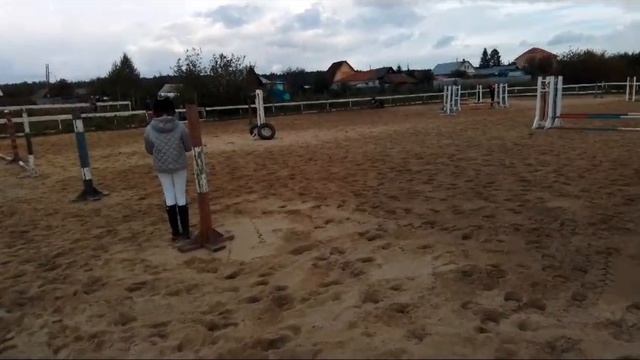 lv_0_20241110114049.mp4