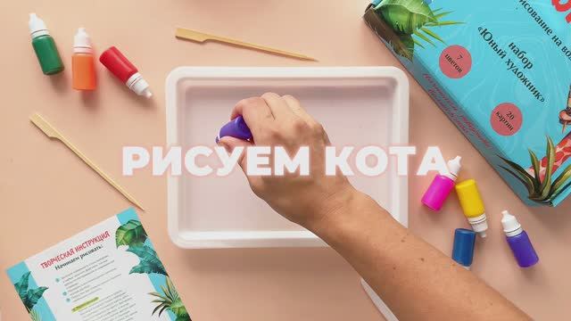 Кот
