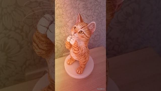 1000077290.mp4