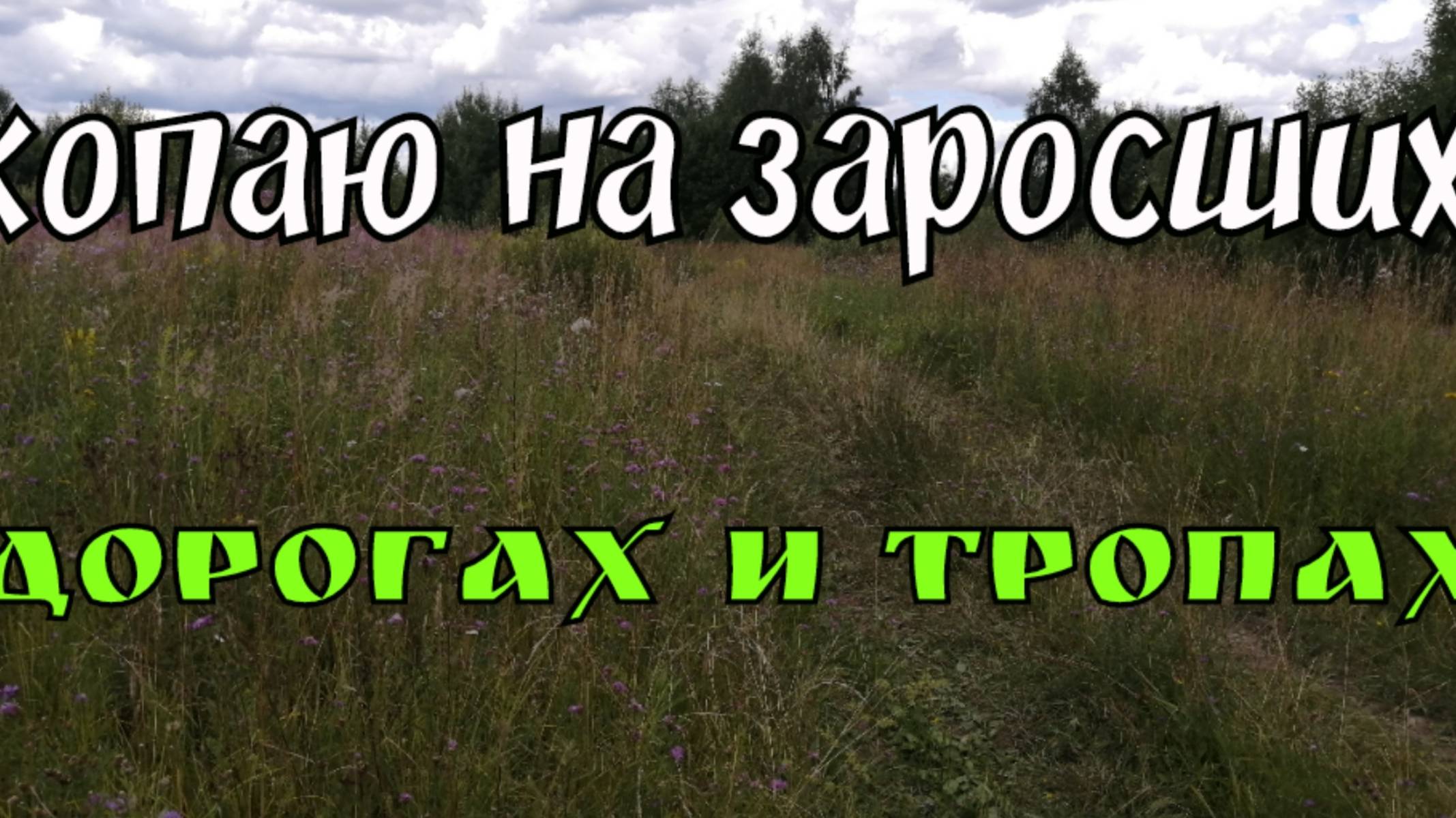 КОПАЮ НА ЗАРОСШИХ ДОРОГАХ И ТРОПАХ. ПОИСК МОНЕТ И СТАРИНЫ С ЭКВИНОКС 800.