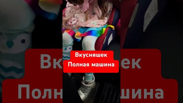 Баб Ромы набрали и тд #чихуахуа #собака #собакаулыбака #прикол #приколысживотными #cat #топ #котик