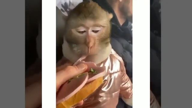 Бутер!!!