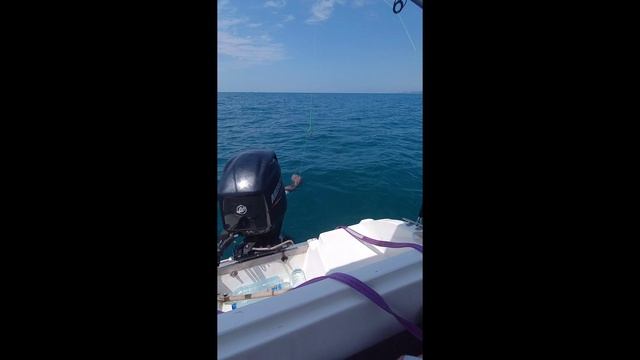 Трофейная рыбалка в Сочи, монстры не дают покоя