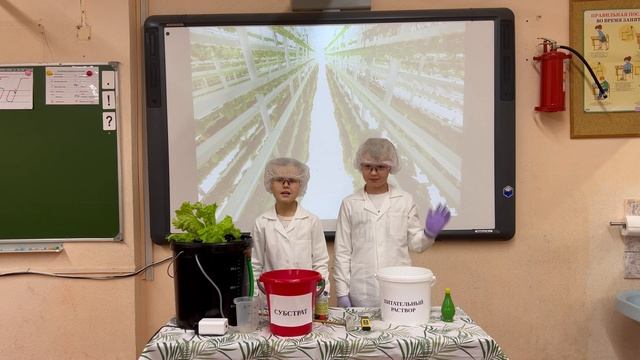 Чемпионат «Мастерята»