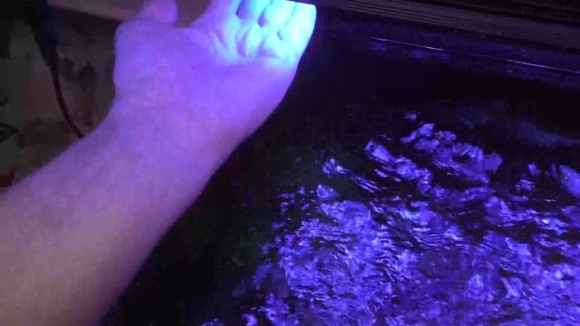 Патч-риф. BEAMS PRO R-4 против CETUS 2