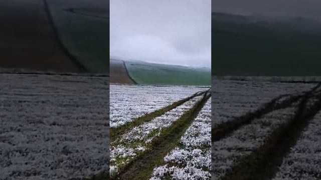 Красота! Правда ?